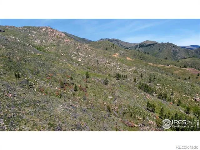 898 Hernia Hill Trail Bellvue, CO 80512