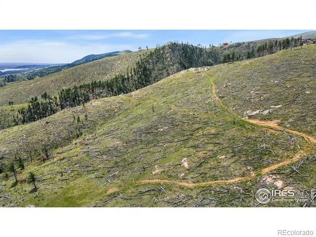 898 Hernia Hill Trail Bellvue, CO 80512