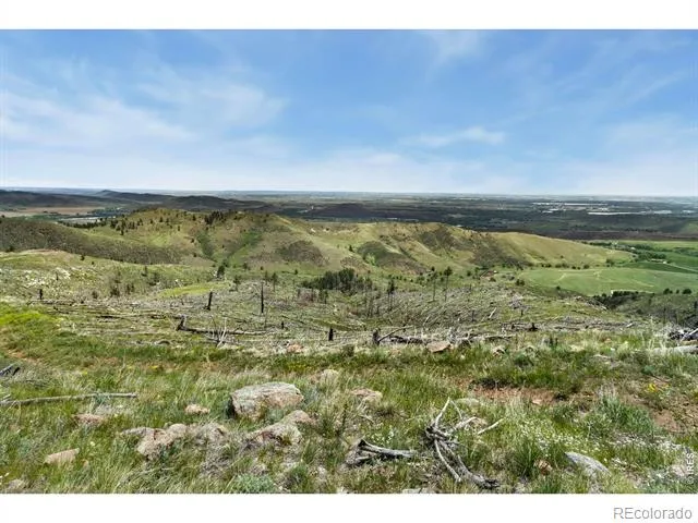 898 Hernia Hill Trail Bellvue, CO 80512
