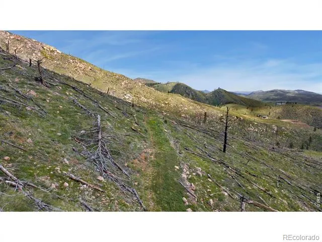 898 Hernia Hill Trail Bellvue, CO 80512