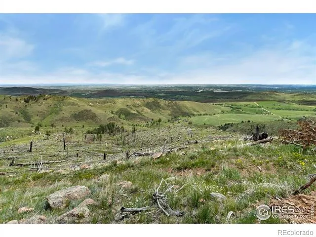 898 Hernia Hill Trail Bellvue, CO 80512