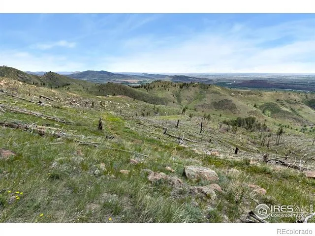 898 Hernia Hill Trail Bellvue, CO 80512