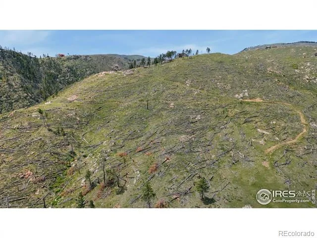 898 Hernia Hill Trail Bellvue, CO 80512