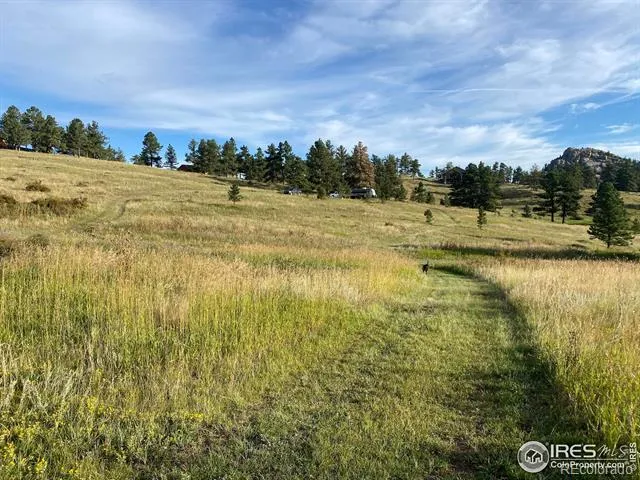 78 Mount Champion Drive Livermore, CO 80536