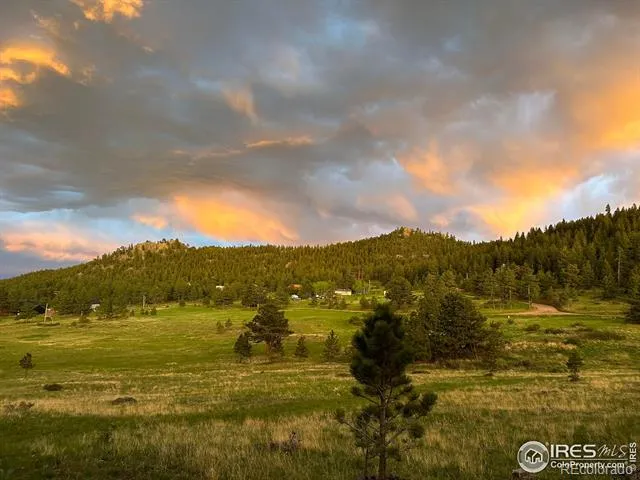 78 Mount Champion Drive Livermore, CO 80536