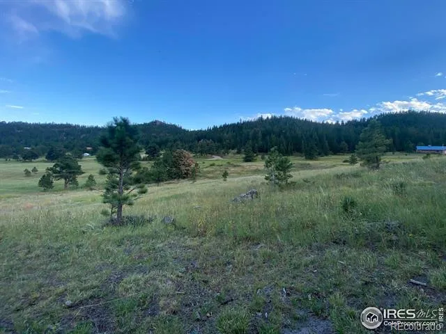 78 Mount Champion Drive Livermore, CO 80536