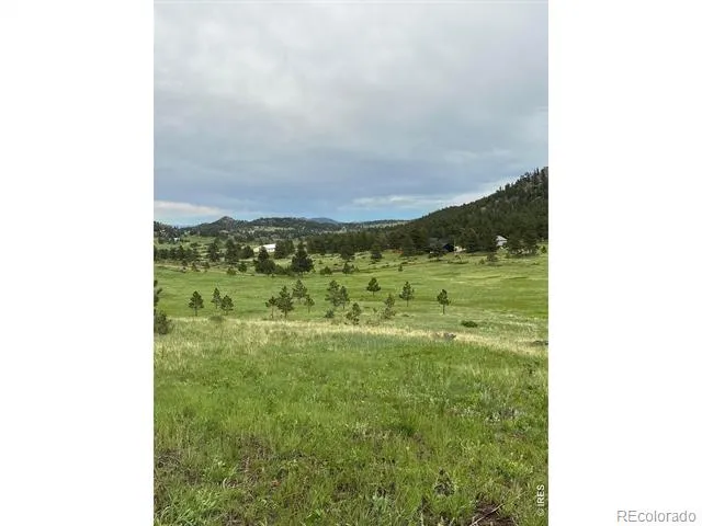 78 Mount Champion Drive Livermore, CO 80536