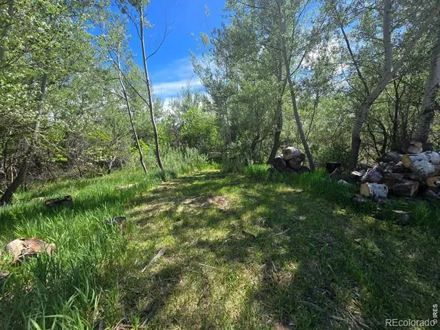 2001 W Prospect Road Fort Collins, CO 80526