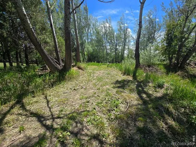 2001 W Prospect Road Fort Collins, CO 80526