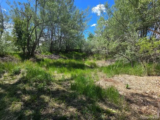 2001 W Prospect Road Fort Collins, CO 80526