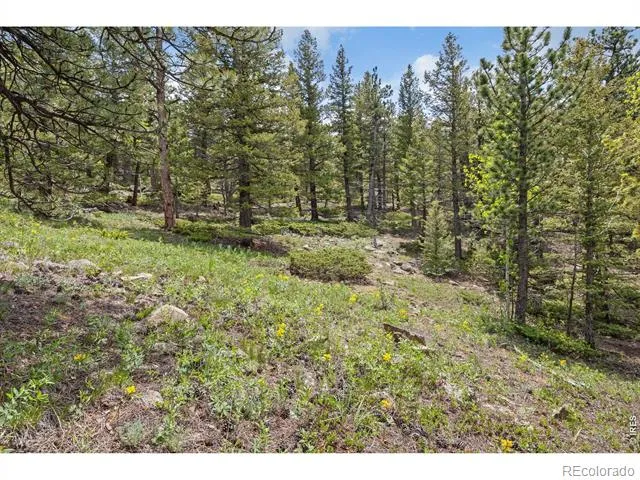 398 Overland Drive Ward, CO 80481