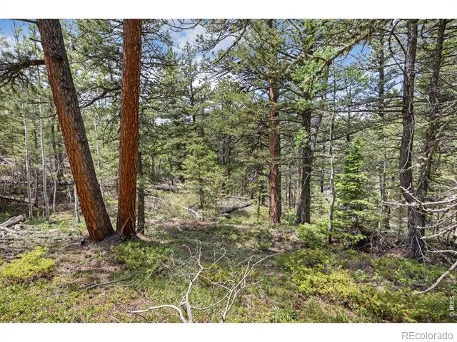 398 Overland Drive Ward, CO 80481