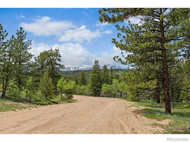 398 Overland Drive Ward, CO 80481