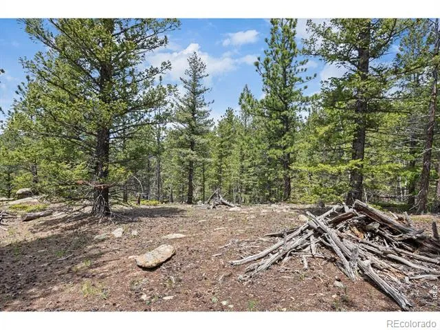 398 Overland Drive Ward, CO 80481