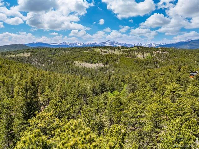 398 Overland Drive Ward, CO 80481