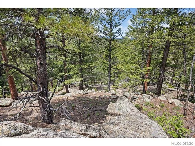 398 Overland Drive Ward, CO 80481