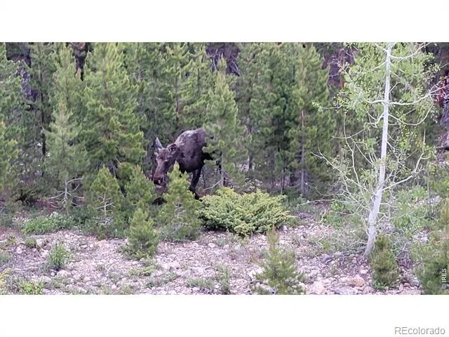 557 Highpoint Circle Black Hawk, CO 80422