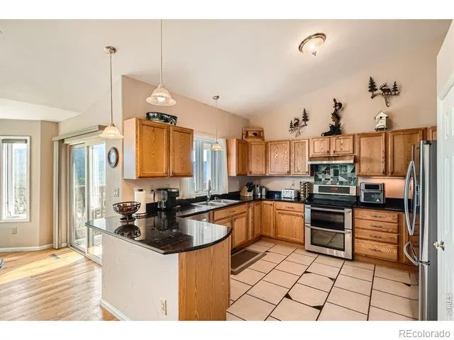 557 Highpoint Circle Black Hawk, CO 80422
