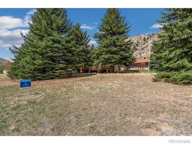 110 Meadow Lane Bellvue, CO 80512