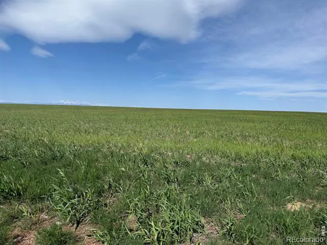 1 TBD FFD25-0005 LotA CO Road 15 Carr, CO 80612