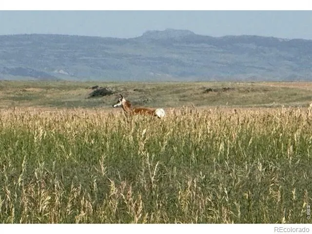 1 TBD FFD25-0005 LotA CO Road 15 Carr, CO 80612