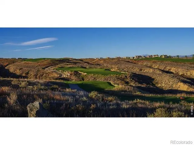 1813 Crisp Air Drive Windsor, CO 80550