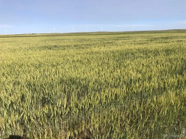0 WCR 105 Grover, CO 80729