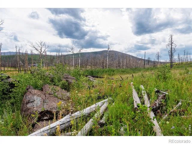 529 Quartz Road Bellvue, CO 80512