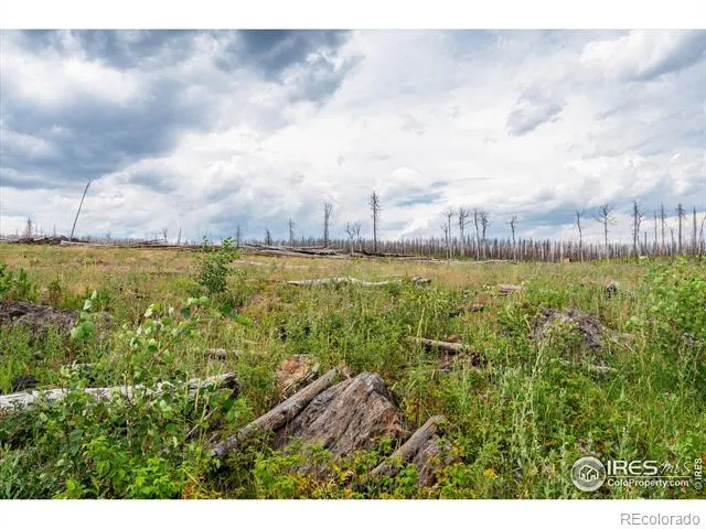 529 Quartz Road Bellvue, CO 80512