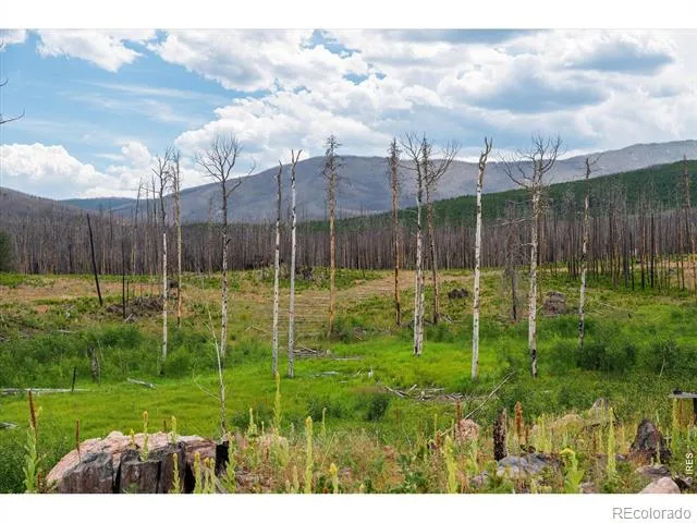 529 Quartz Road Bellvue, CO 80512