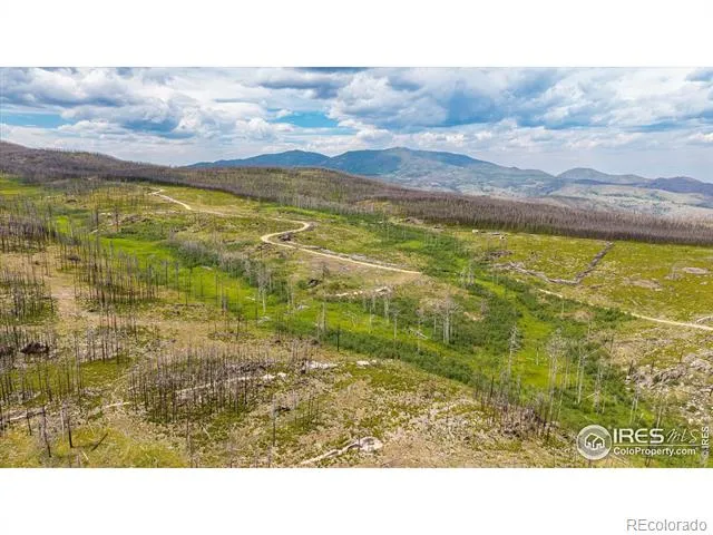 529 Quartz Road Bellvue, CO 80512