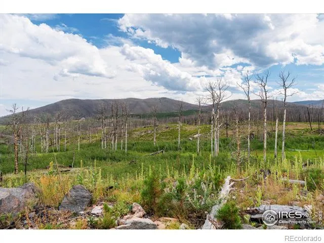 529 Quartz Road Bellvue, CO 80512