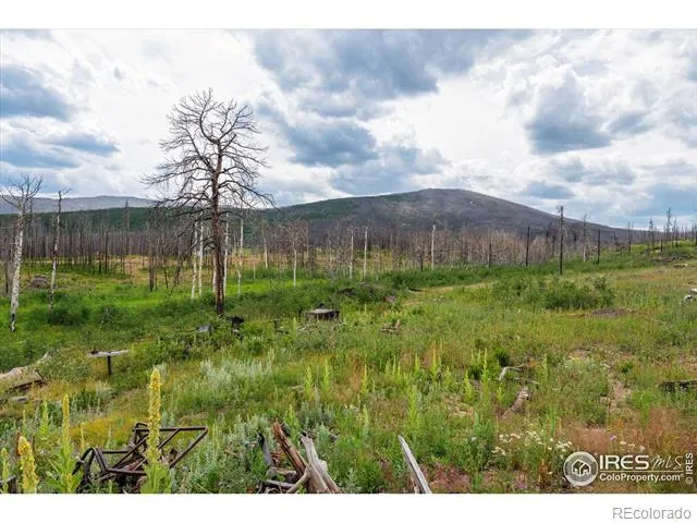 529 Quartz Road Bellvue, CO 80512