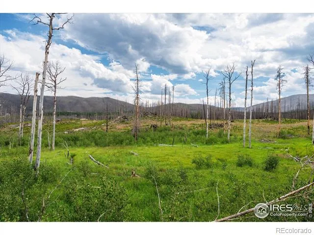 529 Quartz Road Bellvue, CO 80512