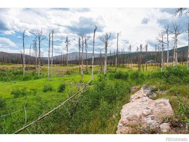 529 Quartz Road Bellvue, CO 80512