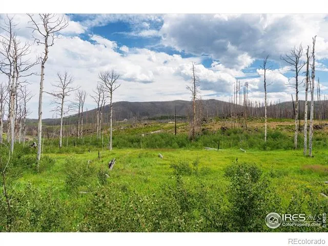 529 Quartz Road Bellvue, CO 80512