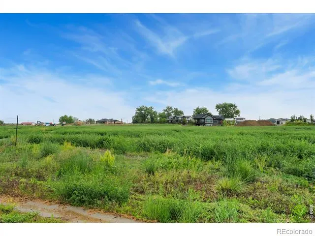 1591 Hauck Meadows Drive Frederick, CO 80504