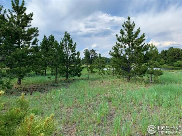 3 Fox Meadow Lane #Lot 3 Red Feather Lakes, CO 80545