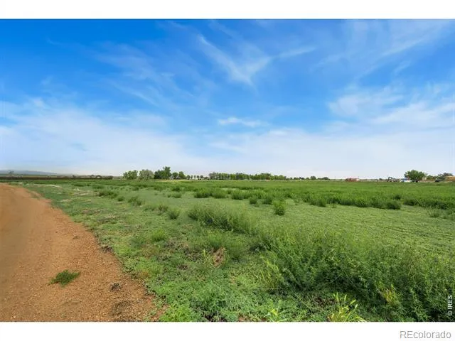 1654 Hauck Meadows Drive Frederick, CO 80504