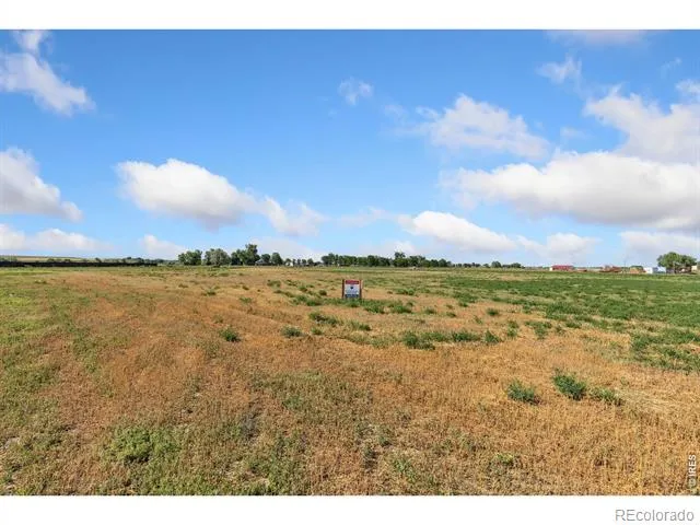 1654 Hauck Meadows Drive Frederick, CO 80504