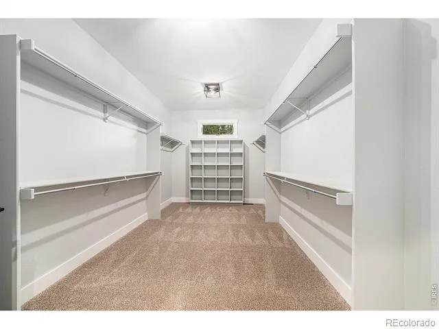 796 Abrams Way Loveland, CO 80537