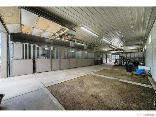 796 Abrams Way Loveland, CO 80537
