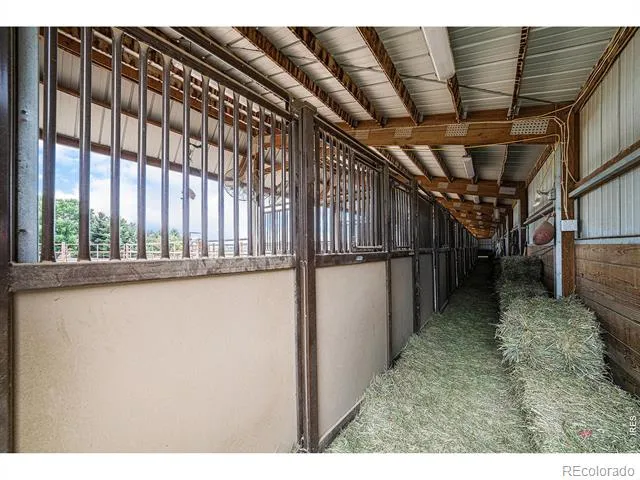 796 Abrams Way Loveland, CO 80537