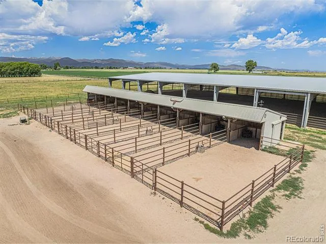 796 Abrams Way Loveland, CO 80537