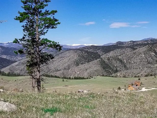 59 Bobcat Mountain Court Livermore, CO 80536