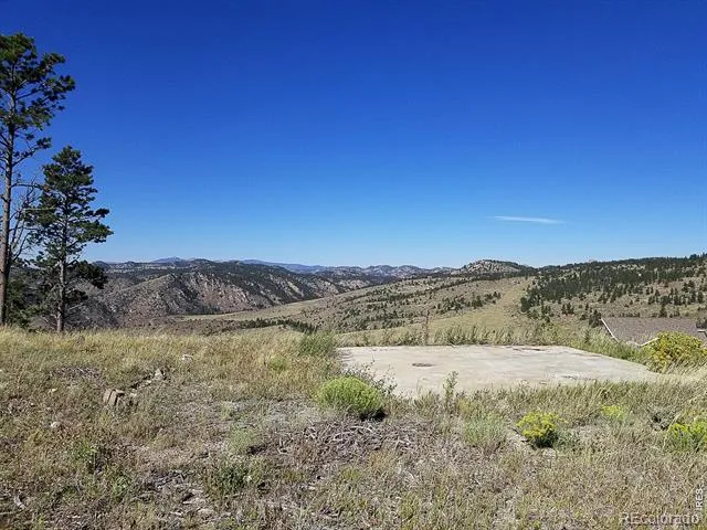 59 Bobcat Mountain Court Livermore, CO 80536