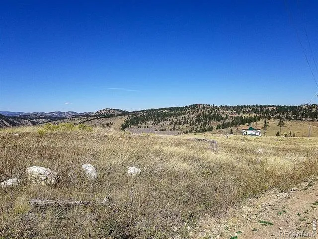 59 Bobcat Mountain Court Livermore, CO 80536