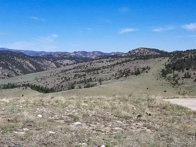59 Bobcat Mountain Court Livermore, CO 80536