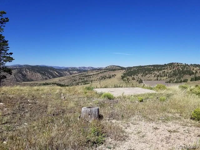 59 Bobcat Mountain Court Livermore, CO 80536