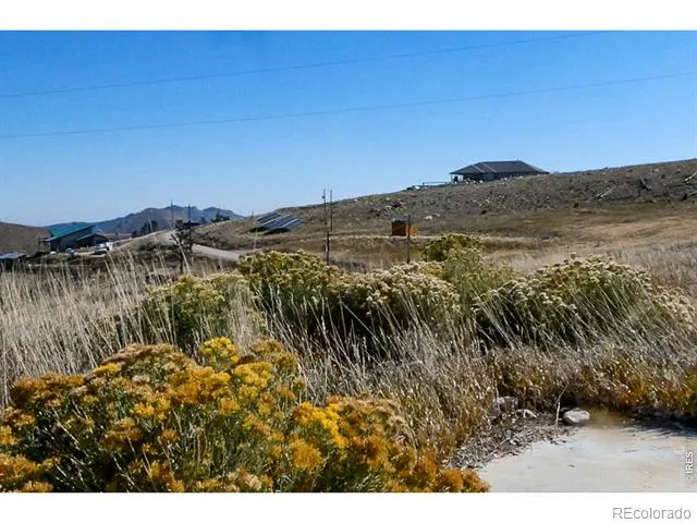 59 Bobcat Mountain Court Livermore, CO 80536